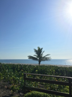 Beautiful views in Boca